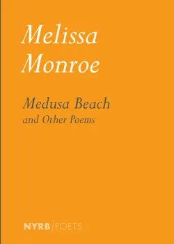 medusa beach book cover image