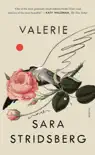 Valerie synopsis, comments