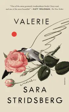 valerie book cover image