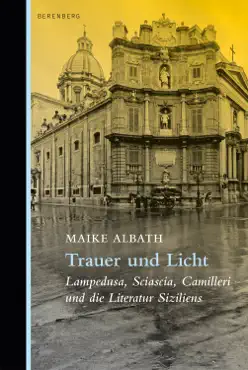 trauer und licht book cover image