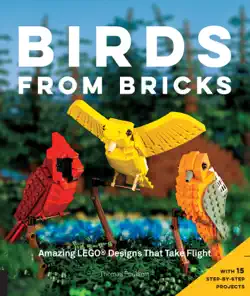 birds from bricks book cover image
