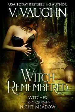 witch remembered book cover image