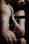 Not Meant To Be Broken synopsis, comments