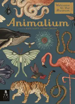 animalium book cover image