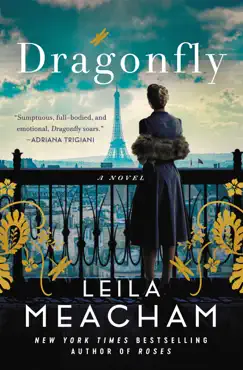 dragonfly book cover image