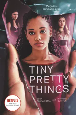 tiny pretty things book cover image