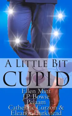 a little bit cupid book cover image