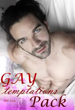 gay temptations package book cover image