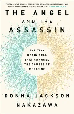 the angel and the assassin book cover image