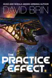 The Practice Effect synopsis, comments