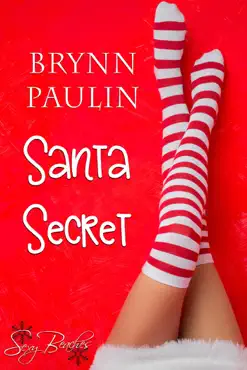 santa secret book cover image