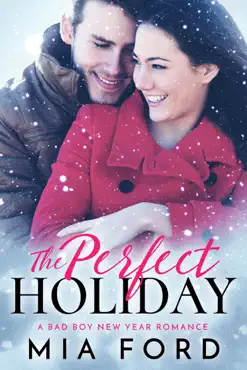the perfect holiday book cover image