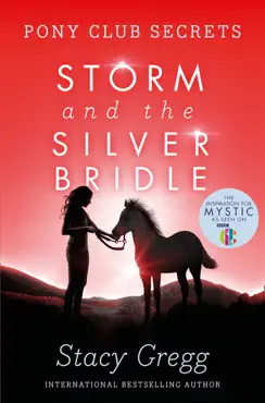 storm and the silver bridle book cover image