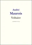 Voltaire synopsis, comments