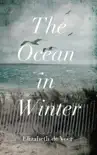 The Ocean in Winter e-book