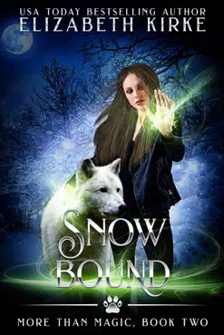 snow bound book cover image