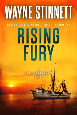 rising fury book cover image