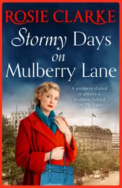 stormy days on mulberry lane book cover image
