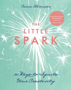 the little spark book cover image