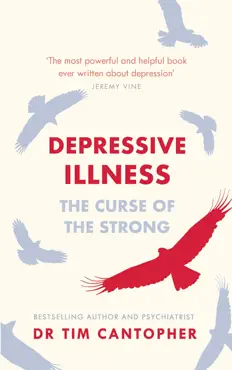 depressive illness book cover image