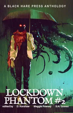 lockdown phantom #2 book cover image