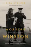 Working with Winston synopsis, comments