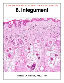 integument book cover image