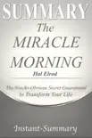 The Miracle Morning Summary synopsis, comments