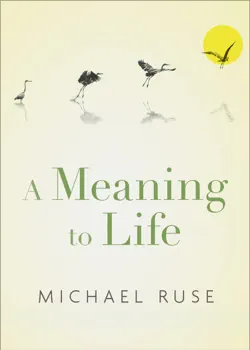 a meaning to life imagen de la portada del libro