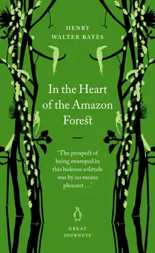 in the heart of the amazon forest book cover image