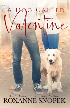 a dog called valentine book cover image