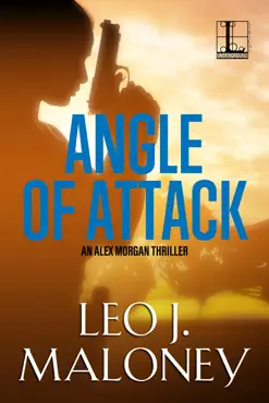 angle of attack book cover image