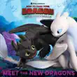 Meet the New Dragons sinopsis y comentarios