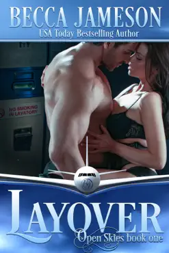 layover book cover image