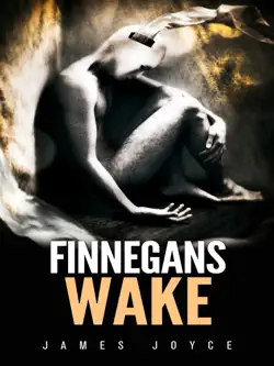 finnegans wake book cover image