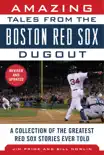 Amazing Tales from the Boston Red Sox Dugout sinopsis y comentarios