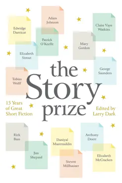 the story prize book cover image