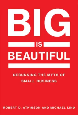 big is beautiful book cover image