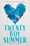 Twenty Boy Summer synopsis, comments