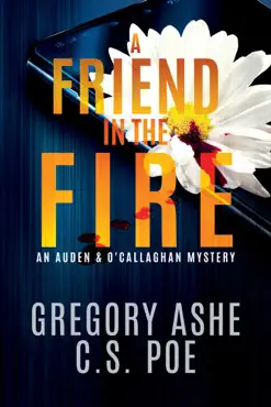 a friend in the fire book cover image