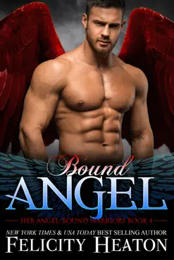 bound angel book cover image
