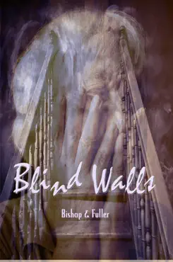 blind walls book cover image