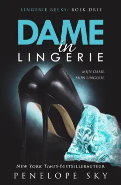 dame in lingerie book cover image
