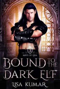 bound to the dark elf book cover image