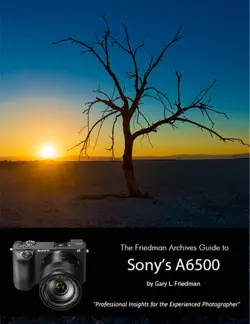 the friedman archives guide to sony's a6500 - professional insights for the experienced photographer book cover image