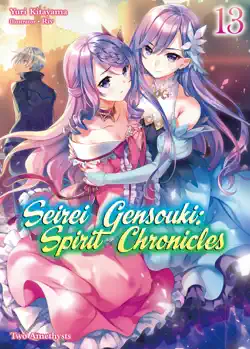 seirei gensouki: spirit chronicles volume 13 book cover image