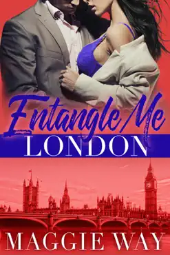 london book cover image