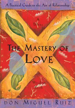 the mastery of love book cover image