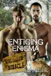 Enticing Enigma synopsis, comments