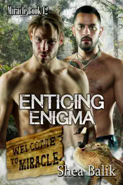 enticing enigma book cover image